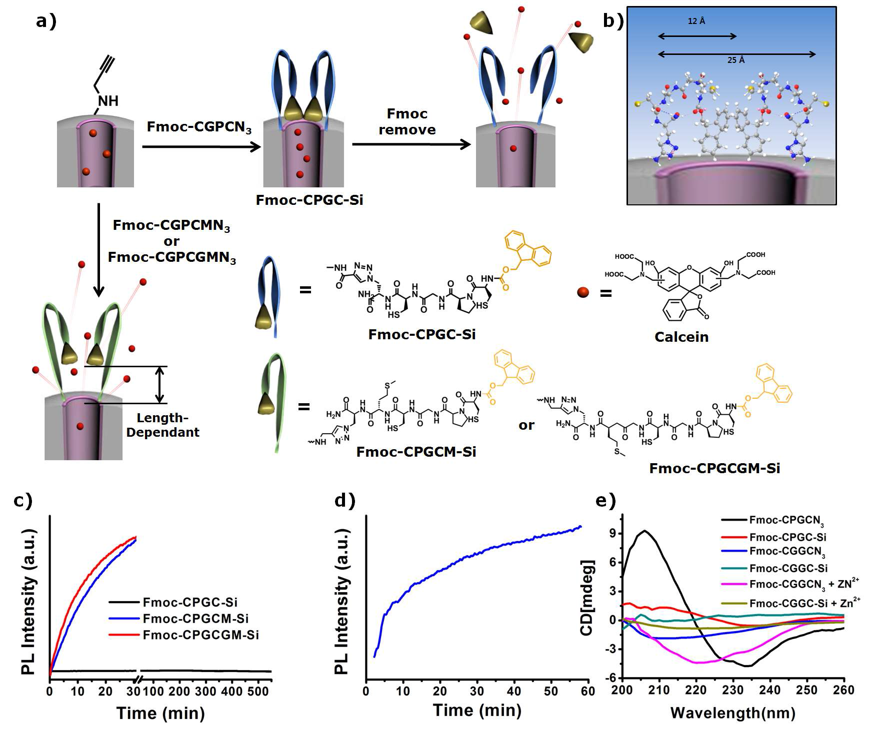 a) Schematic representation of Fmoc-CPGC-Si, Fmoc-CPGCM-Si and Fmoc-CPGCGM-Si. b) Dimensional comparison of energy minimized structure of Fmoc-CPGC and silica mesopore. c) release profile of Fmoc-CPGC-Si, Fmoc-CPGCM-Si and Fmoc-CPGCGM-Si in PBS. d) Release profile of Fmoc-CPGC-Si in PBS with piperidine. e) Circular dichroism spectra.