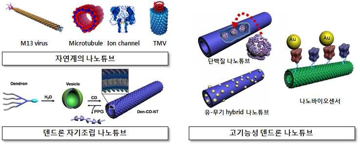 자연계의 나노튜브와 신개념 복합자기조립형 고기능성 유기나노튜브
