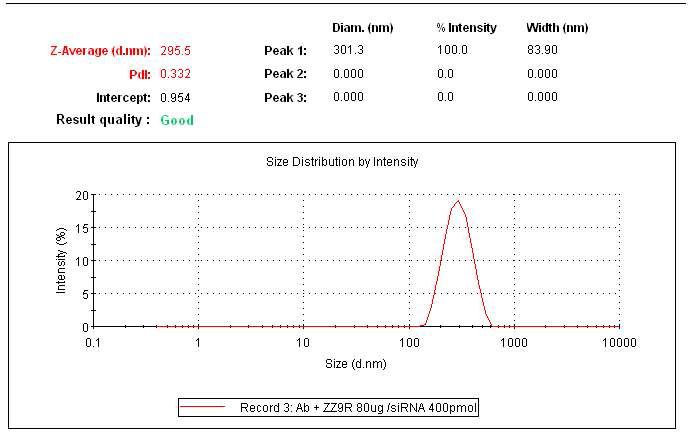 항-CD7-ZZ-9R/siRNA 전달체의 size 측정