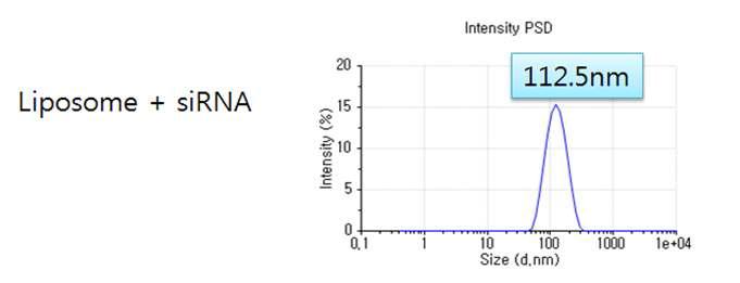 siRNA/양이온성 리포좀 나노입자의 size 측정