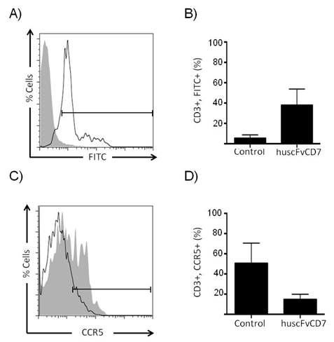 인간화된 항체 RNA간섭 전달체에 의한 생체내 유전자 발현억제. (A/B) Gated cells were analyzed for siRNA uptake by flow cytometry.