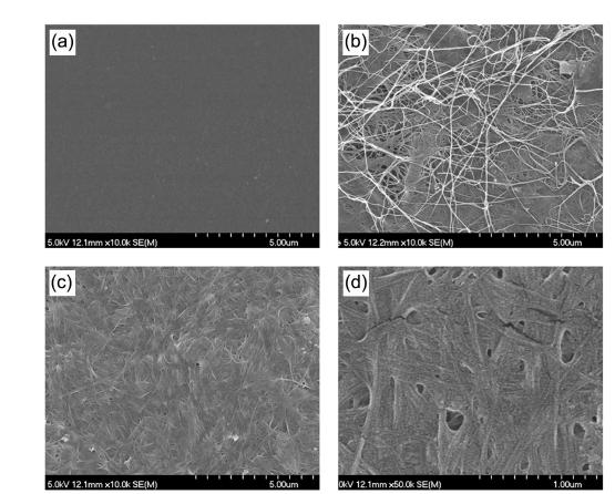 SEM images; (a) pure plant cellulose, (b) pristine bacterial cellulose, (c) LiCl treated bacterial cellulose(×10k), (d) LiCl treated bacterial cellulose(×50k)