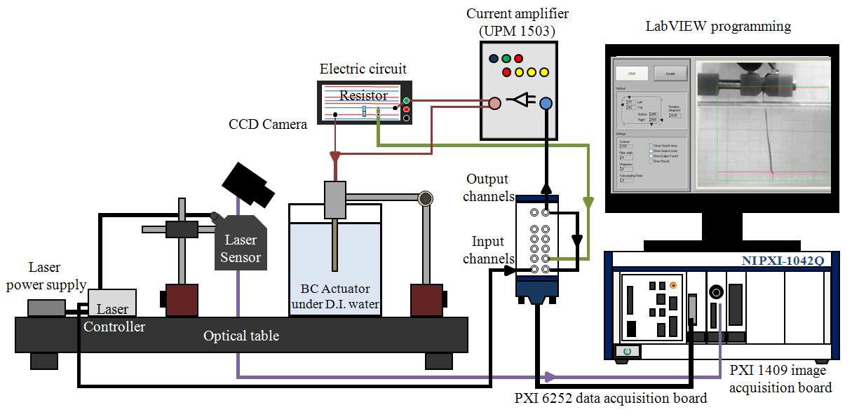 Schematic illustration of integrated experimental setup for measurement of tip displacement