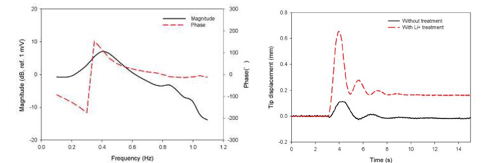 FRF curves and Tip displacement of Bacterial Cellulose actuator