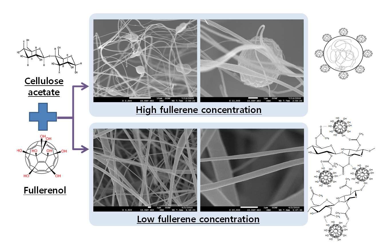 SEM morphology of electrospun cellulose acetate-fullerene nanofibrous membranes