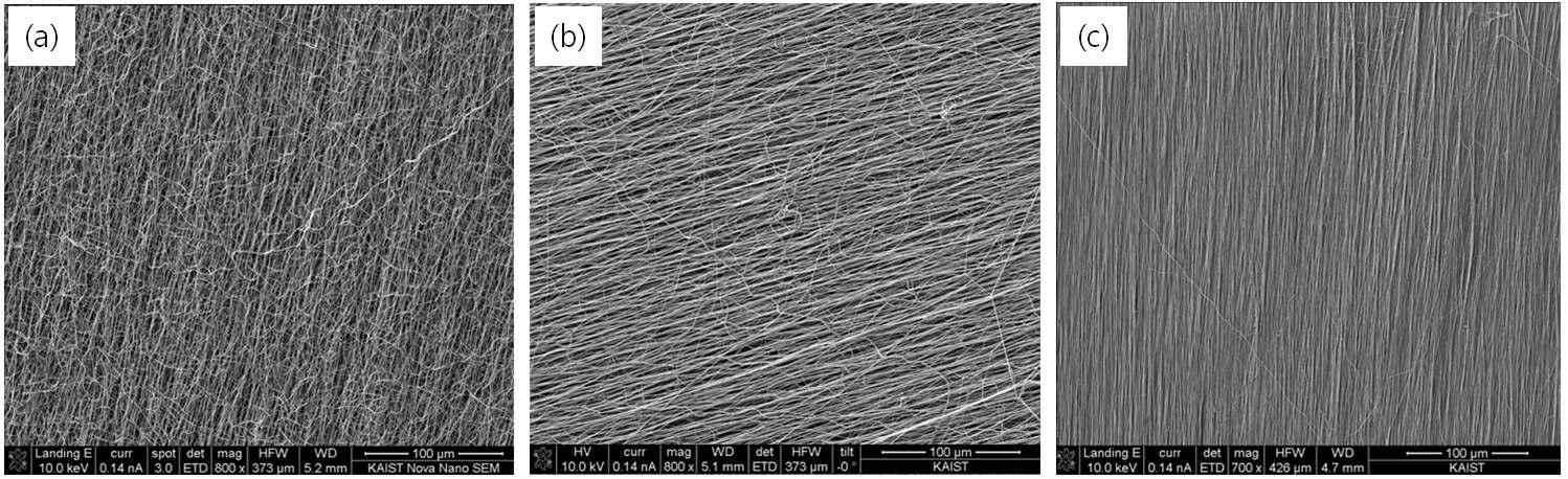 SEM image of electrospun made by using the proposed Methods after 5 hours.