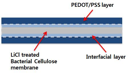 structure of BC and PEDOT/PSS composite membrane