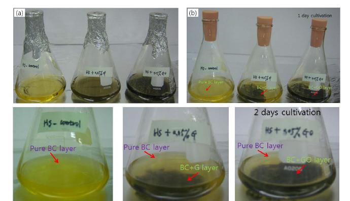 BC synthesis medium after autoclaving