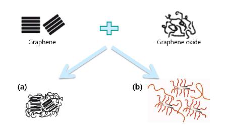 Schematic model of BC based nano-composite