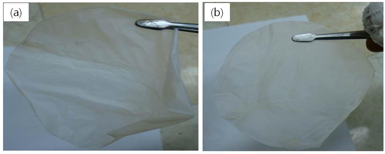 Cationic cellulose from bacterial cellulose film, less time, film with good strength