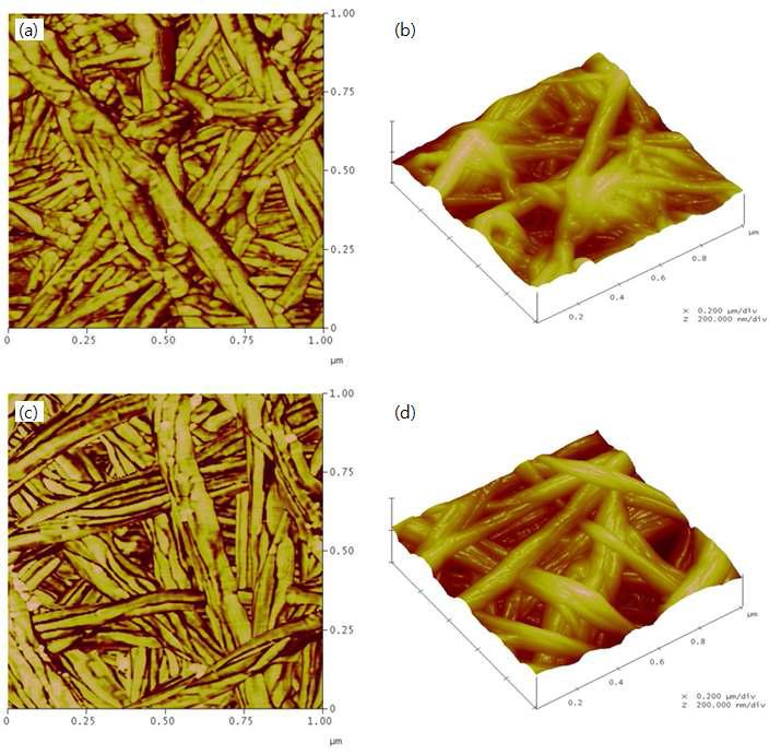 Cationic cellulose from bacterial cellulose film