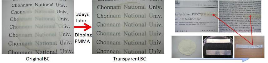 Process to make transparent BC membrane using freeze dried BC.