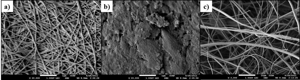surface images of samples