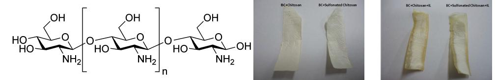 structure of chitosan molecules and chitosan-bacterial cellulose composite