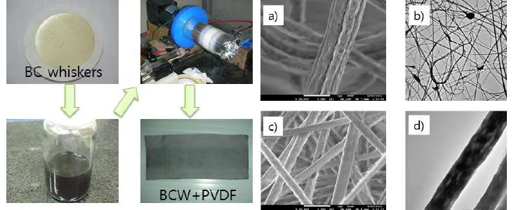 Fabrication of piezo electric bcw-pvdf membrane and SEM, TEM images