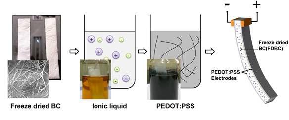 Fabrication of BC-PEDOT:PSS actuator