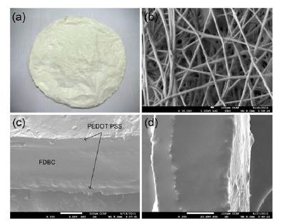 SEM images of BC surface and cross-section