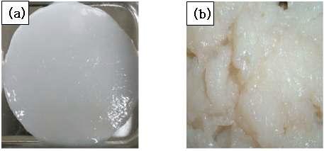 The bacterial cellulose produced by static culture(a) and circulation culture(b)