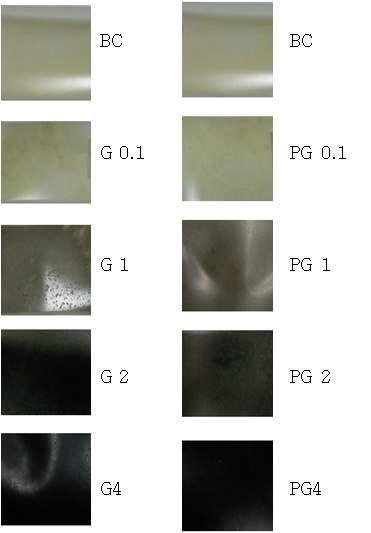 The photos of BC, BC + G and BC + PG membranes