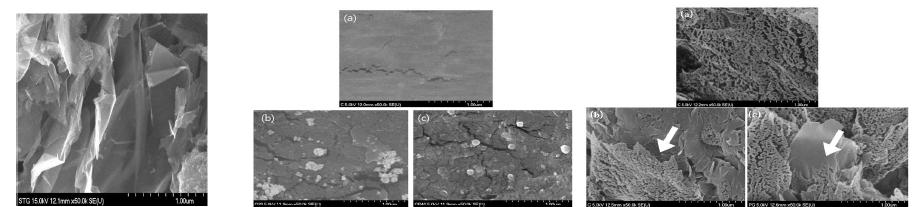 The SEM image of graphene and BC(a), BC+G(b), BC+PG(c) membranes.