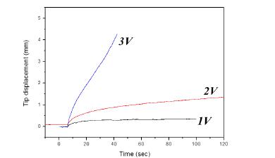 산화그래핀이 강화된 키토산/이온성 (SCS/IL-0.5%GO) 작동기의 DC 응답 특성.