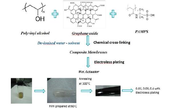 Molecular structure of materials and preparation of the cross-linked PVA/PAMPS/GO membrane