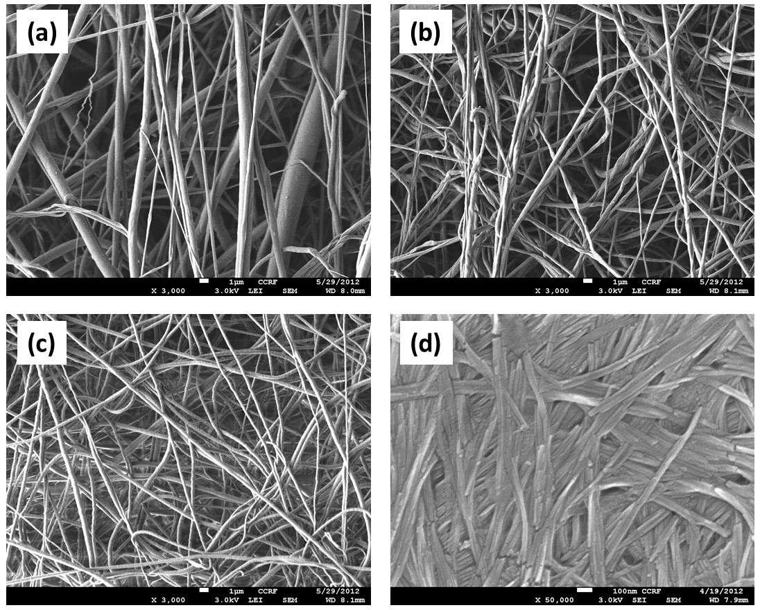 FESEM images of electrospun PVDF-BCNW composites