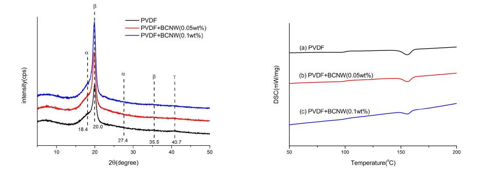 X-ray diffraction and DSC patterns of PVDF according to BCNW contents.