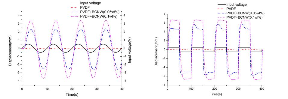 Tip displacement of PVDF-BCNW actuator under sine and square wave input voltage