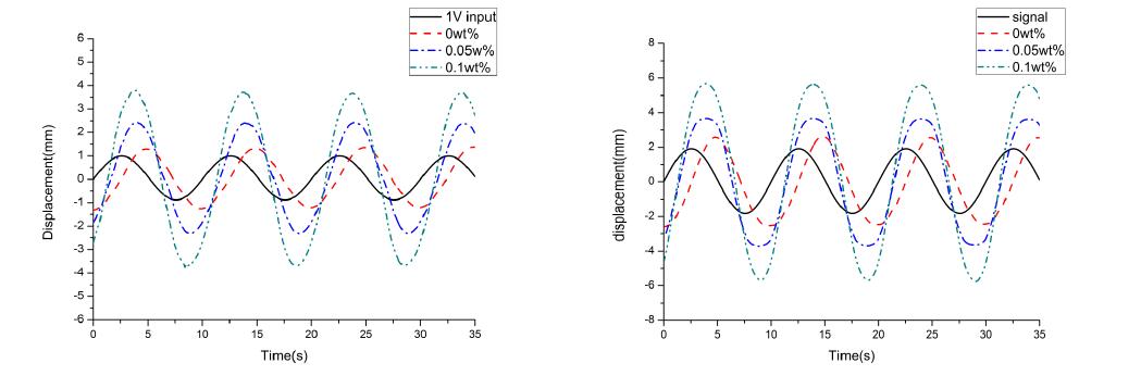 Tip displacement of bacterial cellulose-Graphene actuator under AC excitation of 1V and 2V