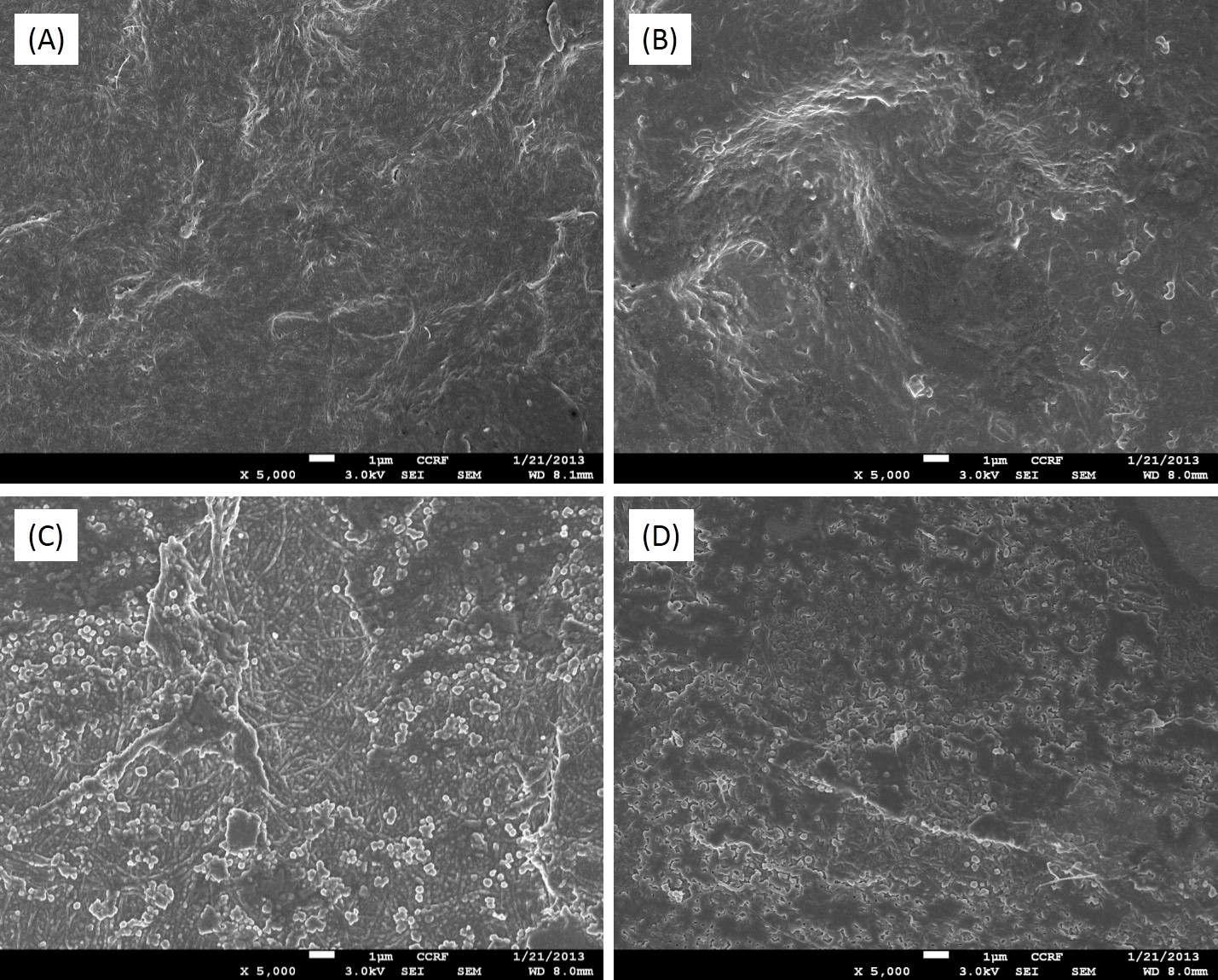 FE-SEM images of TOBC and PVA composites