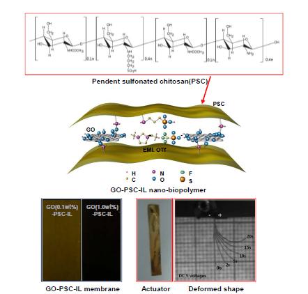 Schematic illustration for pendent sulfonated chitosan and graphene oxide