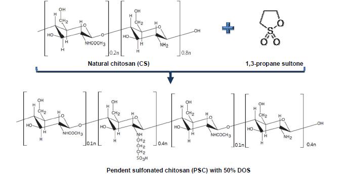Synthesis of pendent sulfonated chitosan copolymer (PSC) with 50% DOS