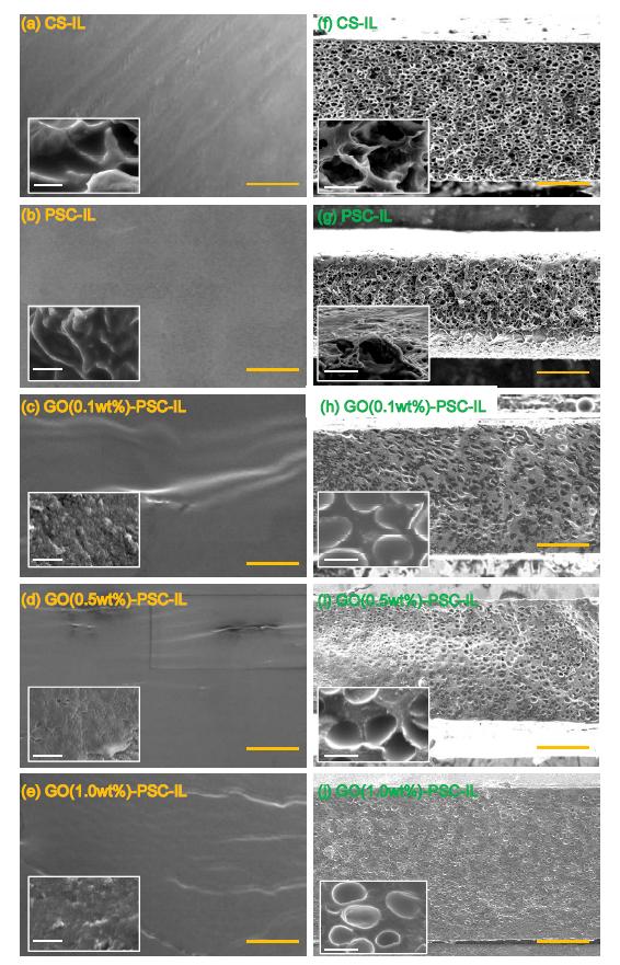 Representative SEM images of CS-IL, PSC-IL, GO-PSC-IL nano-biopolymer membranes