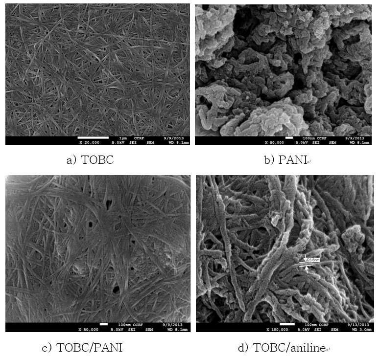 FE-SEM images of TOBC-PANI compoiste.