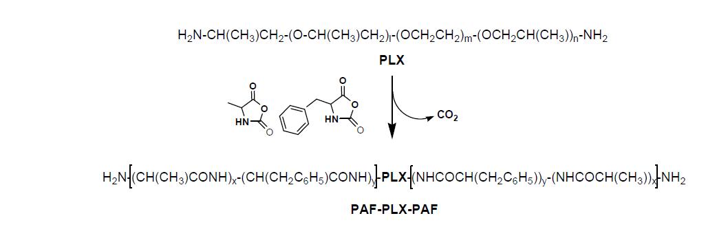 Synthesis of the PAF-PLX-PAF.