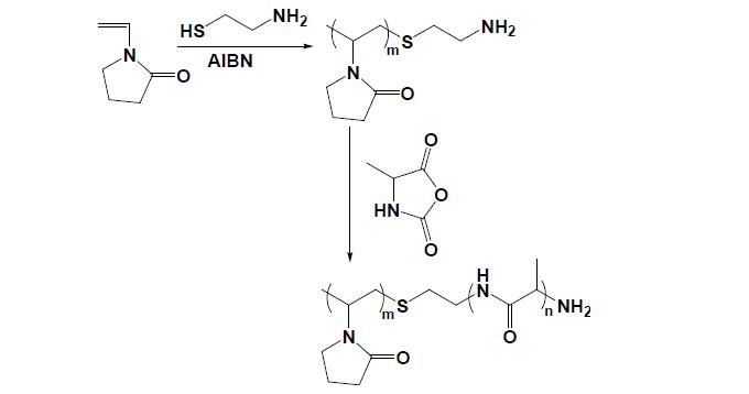 Synthetic scheme of PVP-PA.