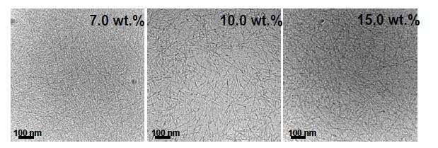 Cryo-TEM images of polymer developed from polymer aqueous solutions as a function of concentration at 37 oC. The scale bar is 100 nm.