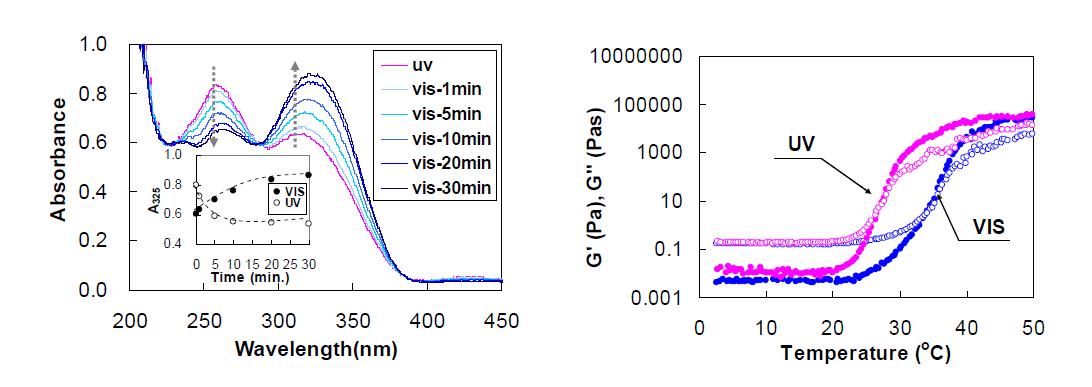 (좌) UV-VIS spectra of PEG-PA-Z-PA-PEG aqueous solutions (0.01 wt.%) as a function of time. After exposure of the polymer aqueous solution to UV at 365 nm for 10 minutes, it was exposed to atmospheric visible light. Inset is the change in absorbance at 325 nm of the polymer aqueous solution after exposure to UV or VIS light as a function of time. (우) Storage modulus (G’: filled) and loss modulus (G