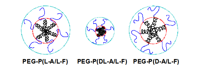 Schematic presentation of the PEG-PAF depending on the D-Alanine. Thin blue curves and thick black curves indicate PEG and PAF, respectively.