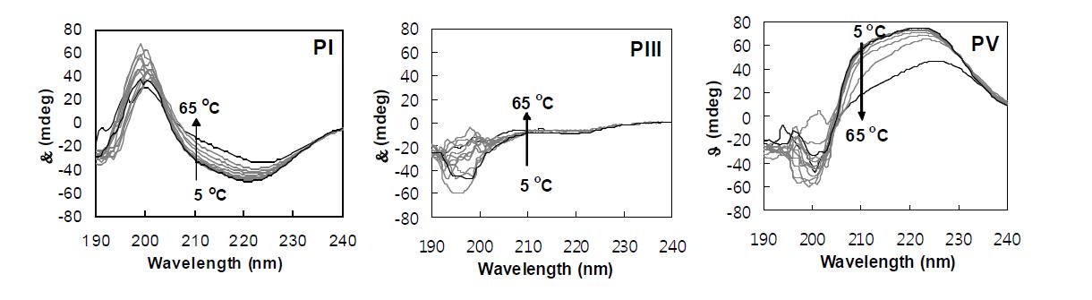 Circular dichroism spectra of PI, PIII, and PV aqueous solutions (0.01 wt.%) as a function of temperature.