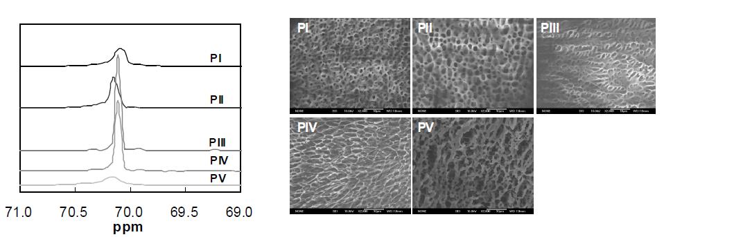 좌) Comparison of 13C-NMR spectra of PI (gel), PII (sol), PIII (sol), PIV (sol), and PV (gel) aqueous systems at 50 oC. Sol-to-gel transition temperatures are 31 oC (PI), 56 oC (PII), 73 oC (PIII), 70 oC (PIV), and 26 oC (PV), respectively. The concentrations were 18.0 wt.% in D2O except for PV (10.0 wt.%). (우) Scanning electron microscopy images of the gels prepared from the polymers aqueous solution (18.0 wt.% in water except for PV (10.0 wt.%)). The scalebar is 10 μm.