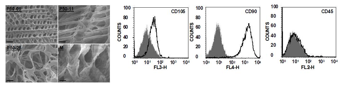 (좌) SEM images of gels at 37 oC prepared from PEG-L-PA aqueous solutions of P50-06 (17.0 wt.%), P50-11 (4.6 wt.%), P50-25 (2.0 wt.%). The SEM image of MatrigelTM at 37 oC was also compared. The in situ formed gel at 37 oC was quenched into liquid nitrogen, followed by freeze-dried. The scale bar is 10 μm.. (우) Characterization of molecular phenotype of the ADSCs.