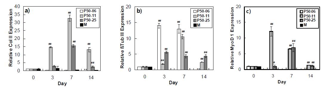 Gene expression by the ADSCs in 3D-cultured samples analyzed by RT-PCR. n=3 for all data. The biomarker for neurogenesis (β III Tub: a), myogenesis (Myo D 1: b), and chondrogenisis (Coll II: c) are shown. The data were normalized by GAPDH and 0thday. # and ## indicate p<0.05 and p<0.01 (Student t-test), respectively, relative to Matrige lTM The biomarkers for LPL and OCN were undetectable. M indicates MatrigelTM..