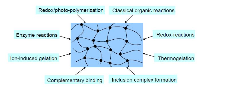 Overview of the in-situ hydrogel formation through biologically benign processes.