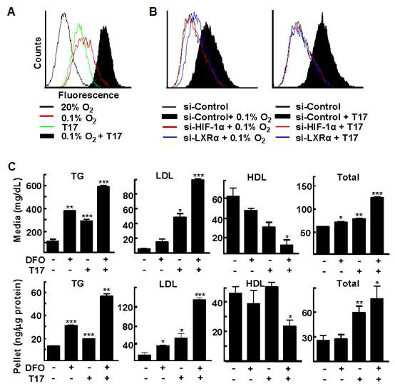 LXRa과 HIF-1a에 의한 지질 합성 유도 Raw 264.7 세포에 저산소 또는 TO901317 처리 (A) Nile red 염색 후 FACS 분석 (B) siRNA 를 발현시킨 후 FACS 분석 (C) 세포 내 지질 성분 ELISA 측정