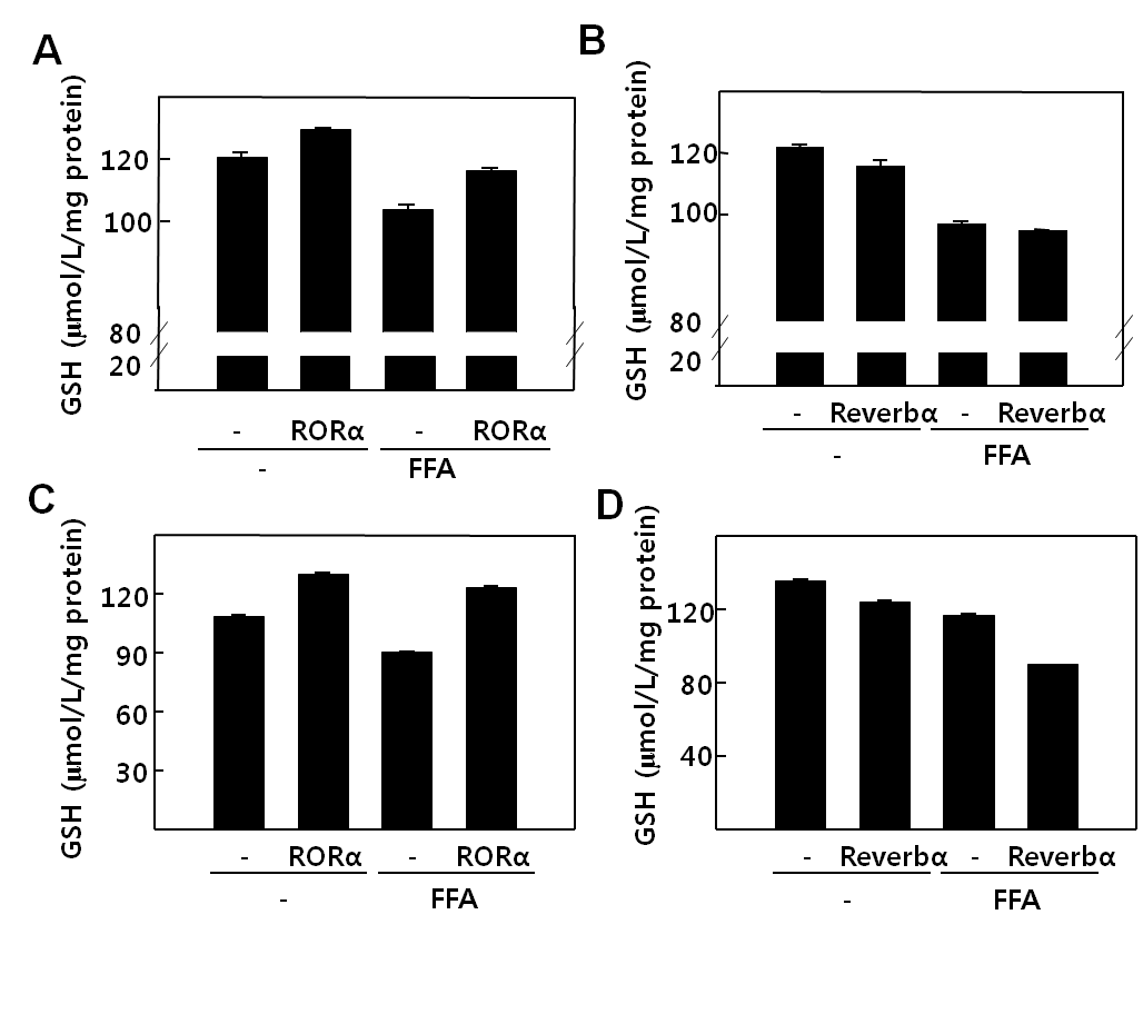 RORα/Rev-erbα 에 의한 GSH level 조절 (A and B) HepG2에서 RORα (A)과 Rev-erbα (B) 과발현시 (transient transfection) free fatty acid에 의해 생성된 GSH의 양 (C and D) Rat 일차배양 간세포에서 RORα (C)와 Rev-erbα (D) 과발현시 (virus 감염) free fatty acid에 의해 생성된 GSH의 양