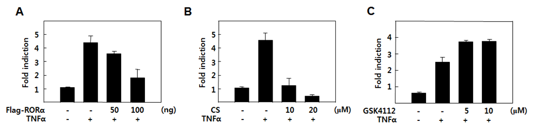 Chang cell에서 RORα/Rev-erbα 에 의한 NF-κB 활성 변화 (NF-κB-LUC reproter gene assay) (A) RORα 과발현시 TNFα에 의해 유도된 NF-κB 활성 변화 (B) RORα 리간드인 CS 처리시 TNFα에 의해 유도된 NF-κB 활성 변화 (C) Rev-erbα 리간드인 GSK4112 처리시 TNFα에 의해 유도된 NF-κB 활성 변화