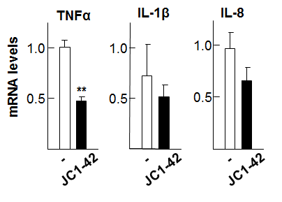 Safflower oil-enriched HFD 동물 모델에서 RORα 특이적 저분자 리간드에 의한 TNFα, IL-1β, IL-8 등 염증성 cytokine 발현 분석 (real-time PCR 분석) C57BL/6N mouse에 Safflower oil-enriched HFD 식이를 한 후 JC1-40, 42 처리 시 TNFα, IL-1β, IL-8 등 염증성 cytokine 발현 분석