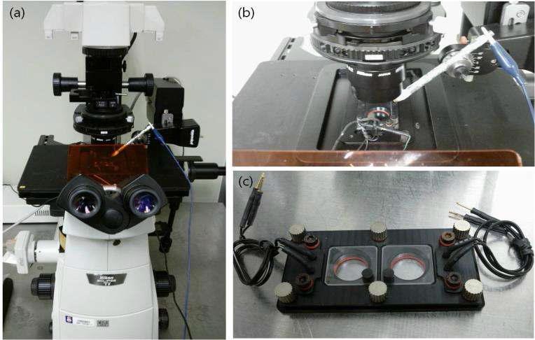 (a) 단일세포 조작 시스템, (b) 현미경 위에 설치된 소형 인큐베이터 및 미세세포조작기 (c) 바닥에 ITO 전극이 고정 된 세포 배양 용 미세 세포칩